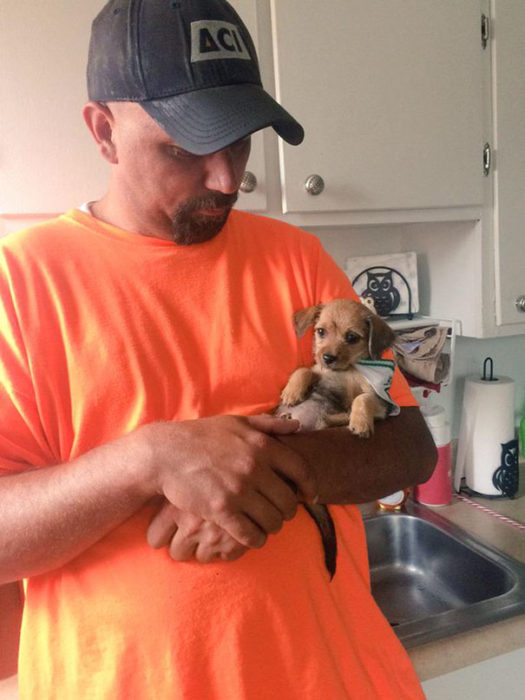 Hombre sosteniendo a un cachorrito en sus manos 