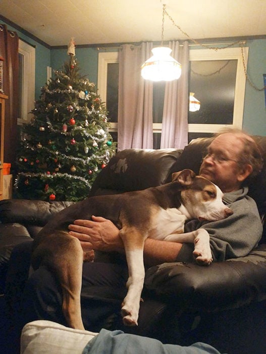 Hombre sentado en el sofá junto a su perro 