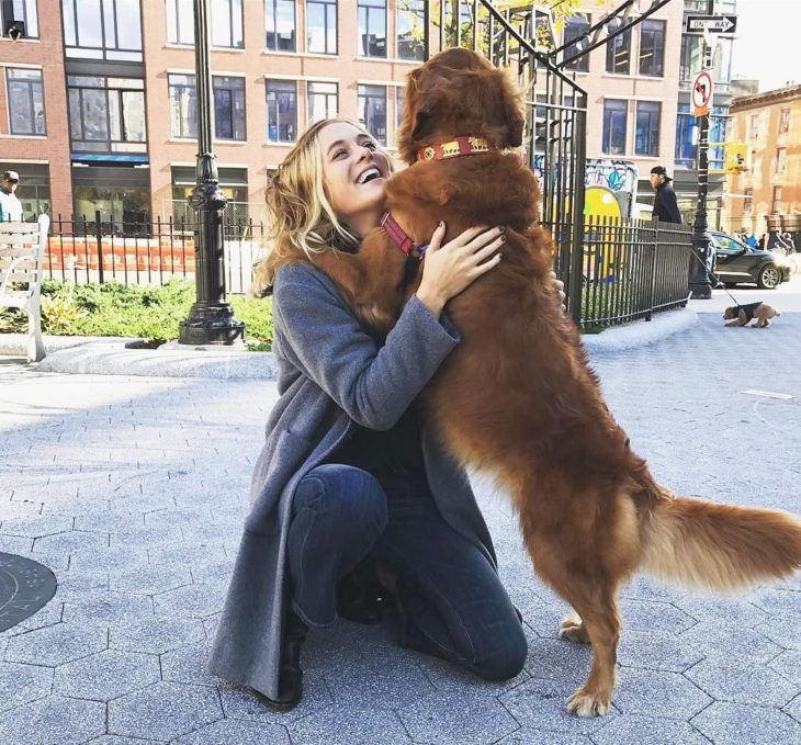 Perrita golden abrazando a una persona 