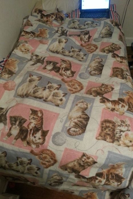 Manta de gatos sobre una cama 