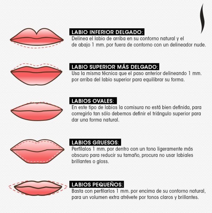 ilustracion con tipos de labios y como pintarlos 