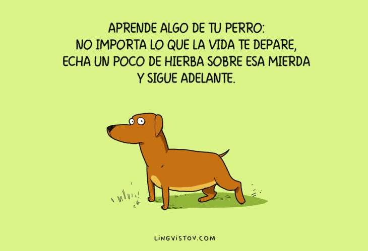 ilustraciones que hablan sobre la vida de un perro 