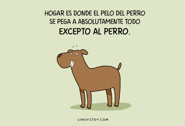 ilustraciones que hablan sobre la vida de un perro 