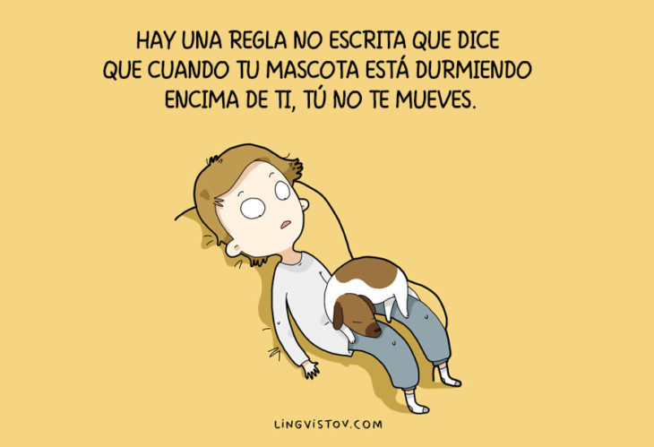 ilustraciones que hablan sobre la vida de un perro 