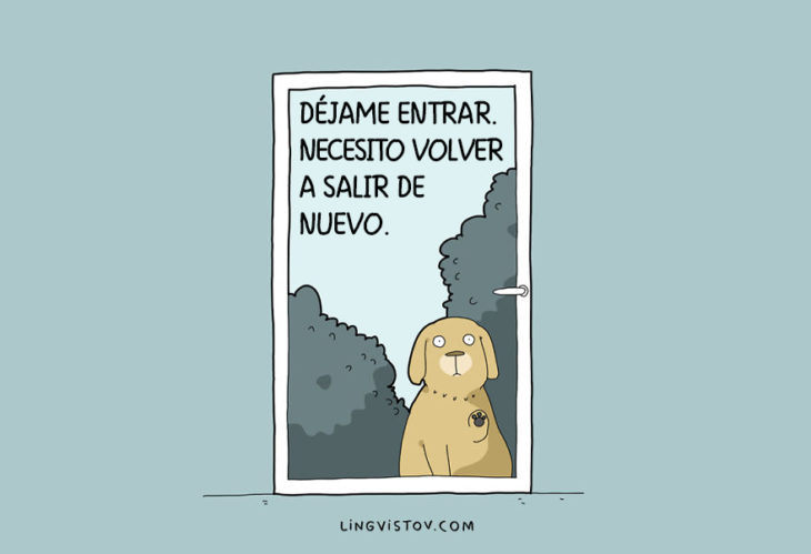 ilustraciones que hablan sobre la vida de un perro 