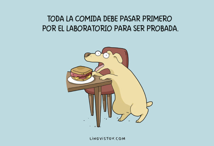 ilustraciones que hablan sobre la vida de un perro 