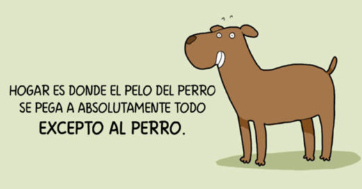 10 ilustraciones que demuestran lo mejor de tener un perro