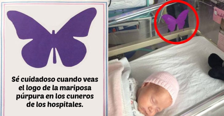 El significado de esta mariposa púrpura en los cuneros de recién nacidos te tocará el corazón
