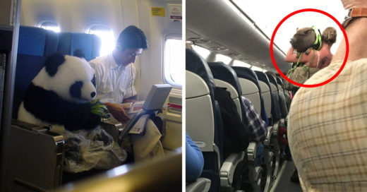 17 Momentos absurdos e insólitos dentro de un avión