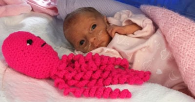 Los hospitales están pidiendo pulpos de crochet y esta es la razón