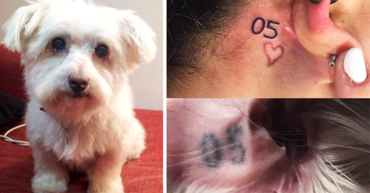 Perrito iba a ser sacrificado y ella lo rescató; ahora se hizo un tatuaje en su honor