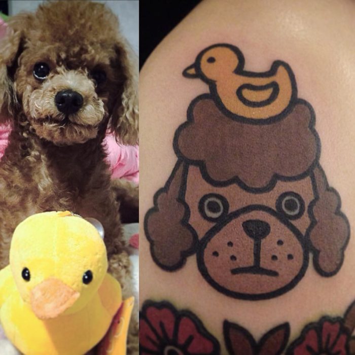 foto de perro y tatuaje de gato y foto de gato de perro