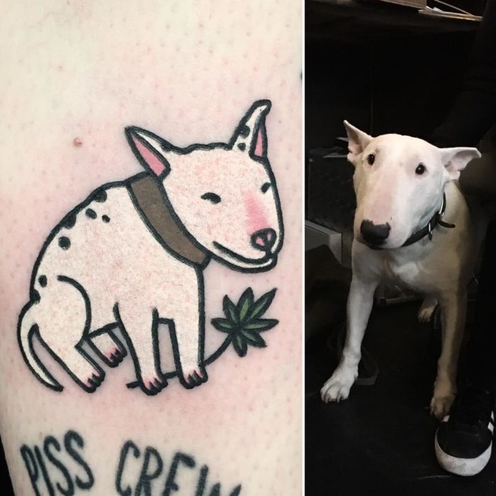 foto de perro y tatuaje de gato y foto de perro