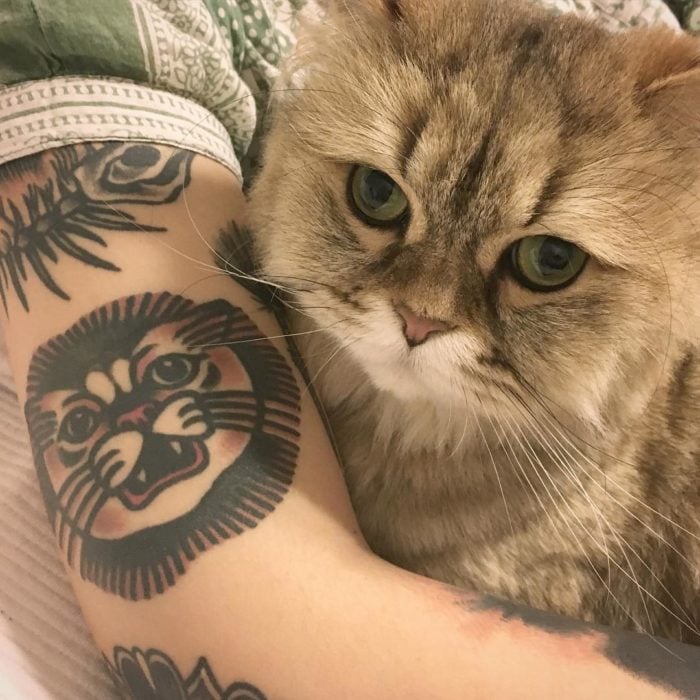 tatuaje de gato y foto de gato