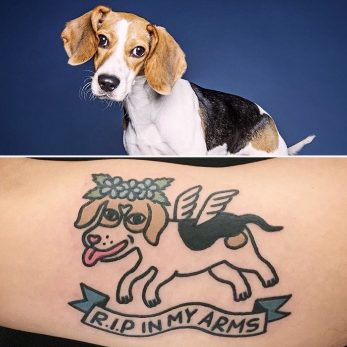 foto de perro y tatuaje de perro