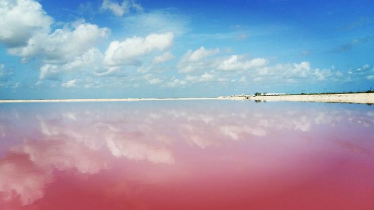 rio lagartos las coloradas mexico