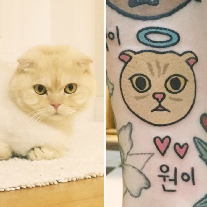 tatuaje de gato y foto de gato