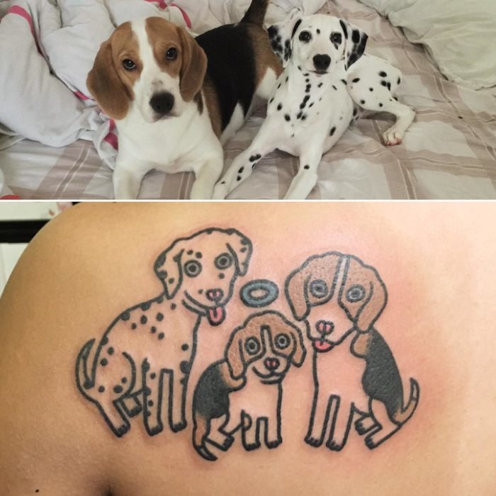 foto de perro y tatuaje de gato y foto de gato de perro