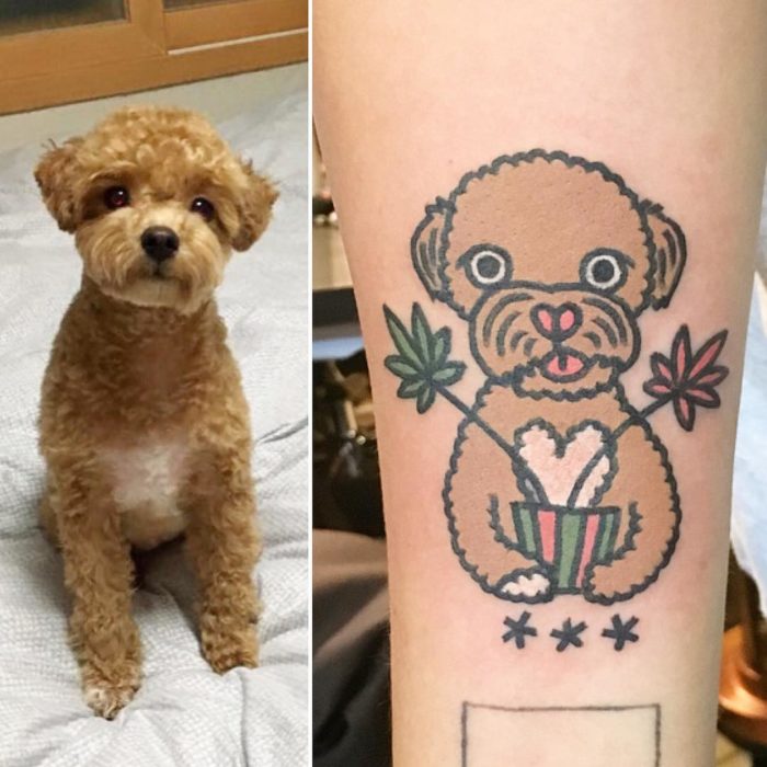 foto de perro y tatuaje de gato y foto de perro