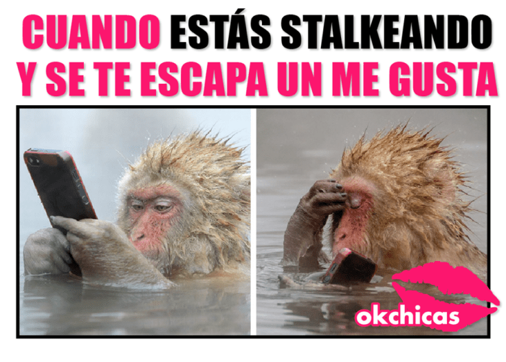 meme ok chicas mono en el agua