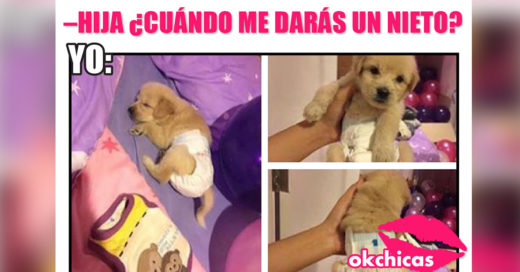 21 Incómodos momentos que viven las chicas que no soportan a los bebés pero aman a los perros