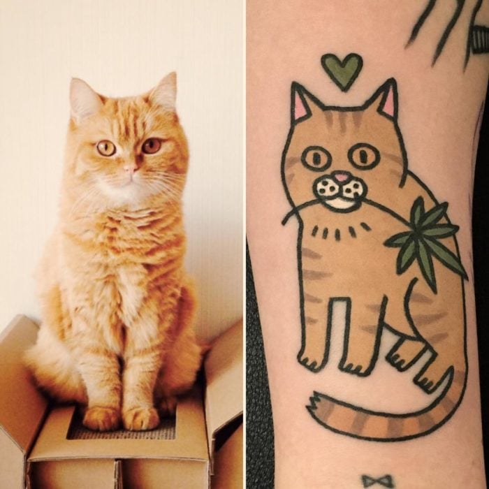 tatuaje de gato y foto de gato