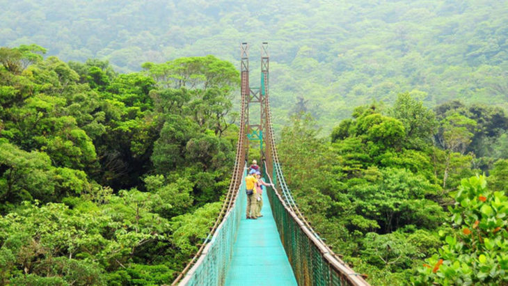 puentes monte verde costa rica 