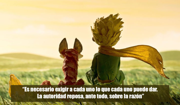 Frases el principito 