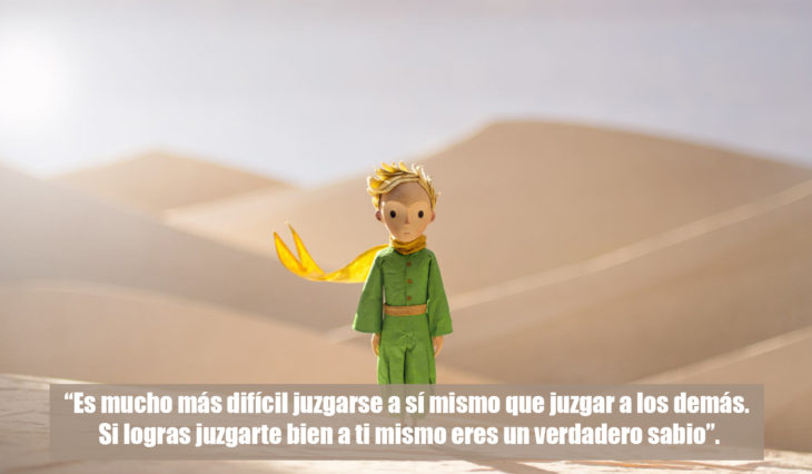 Frases el principito 