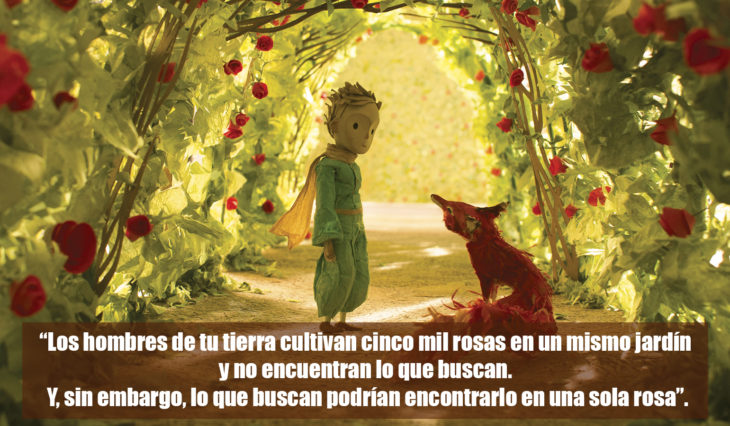 Frases el principito 