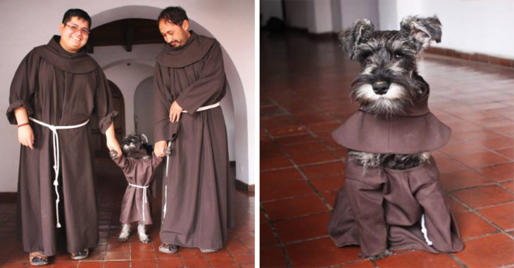 Fray Bigotón el afortunado schnauzer que fue adoptado por un monasterio