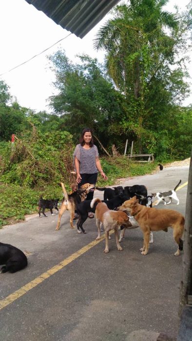 Mujer tailandesa alimenta perros