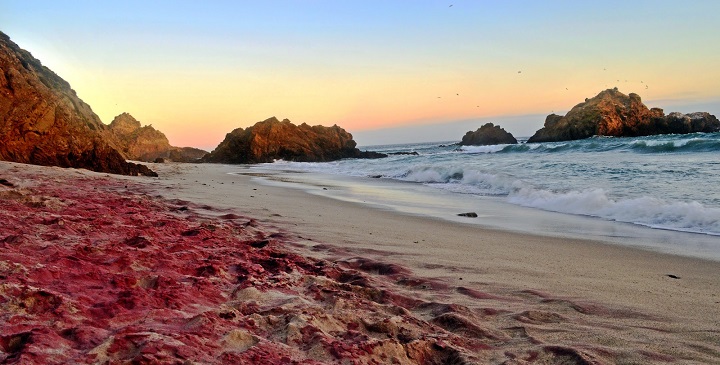 playa arena morada