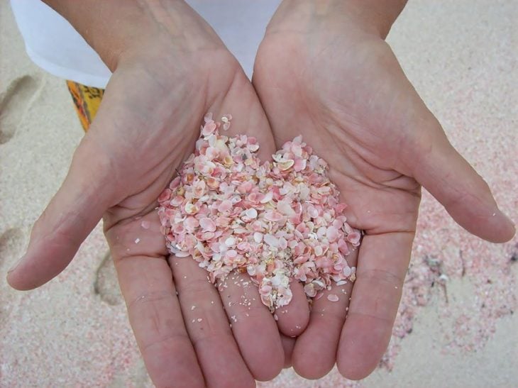 La playa de arena rosa, Bahamas