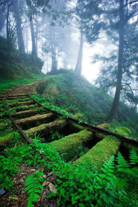 vías del tren abandonado en china editada