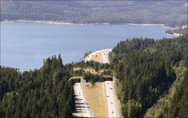 camino respeta naturaleza