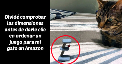 15 Clientes que terminaron insatisfechos con sus compras en línea