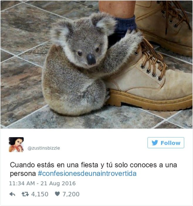 tweet confesiones de introvertida
