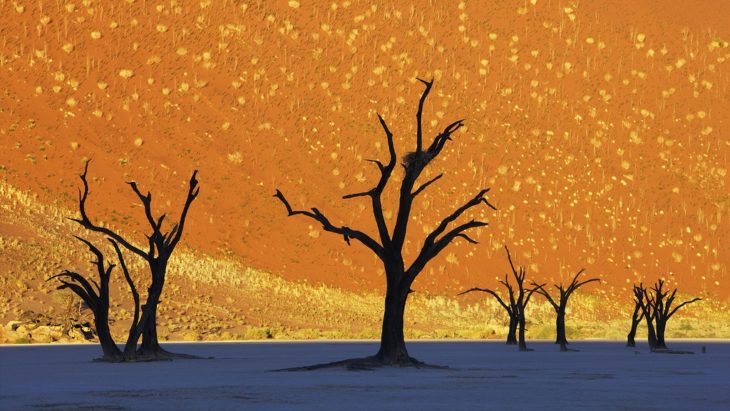 dead vlei, nambia