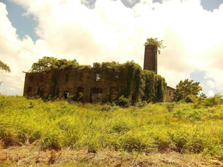 destilería abandonada en barbados
