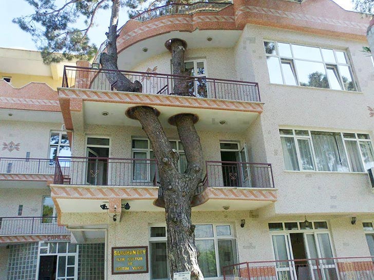 edificio con árbol