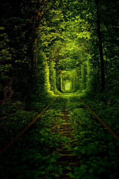 el túnel del amor en las vías del tren de ucrania