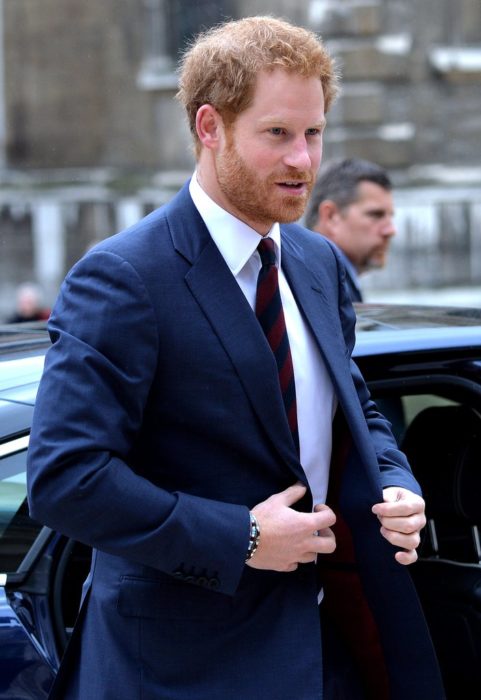 harry de gales