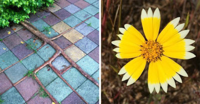 15 Increíbles imágenes que todas las chicas amantes de la perfección amarán