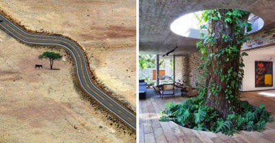 20 increíbles imágenes que muestran la importancia de convivir con la naturaleza