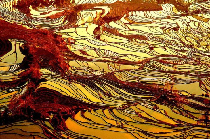las terrazas de arroz en china