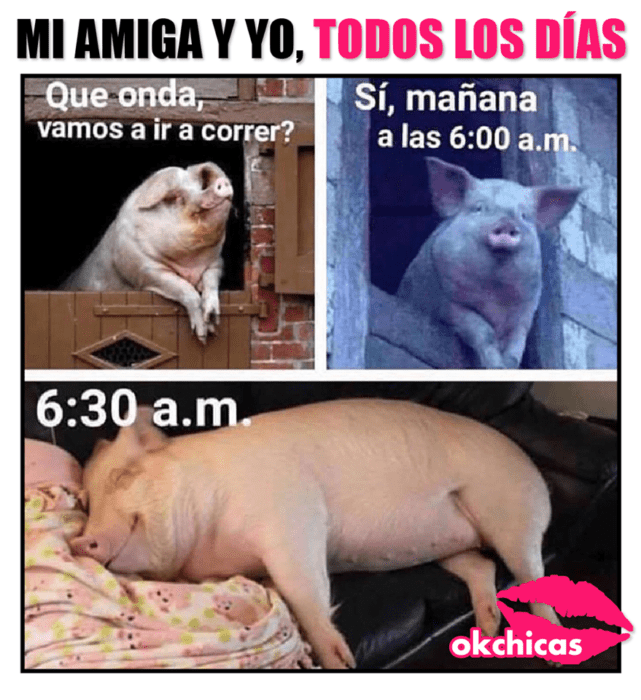 lista para el ejercicio