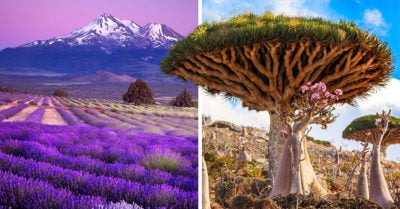 30 Paisajes tan impactantes que te harán dudar si son reales