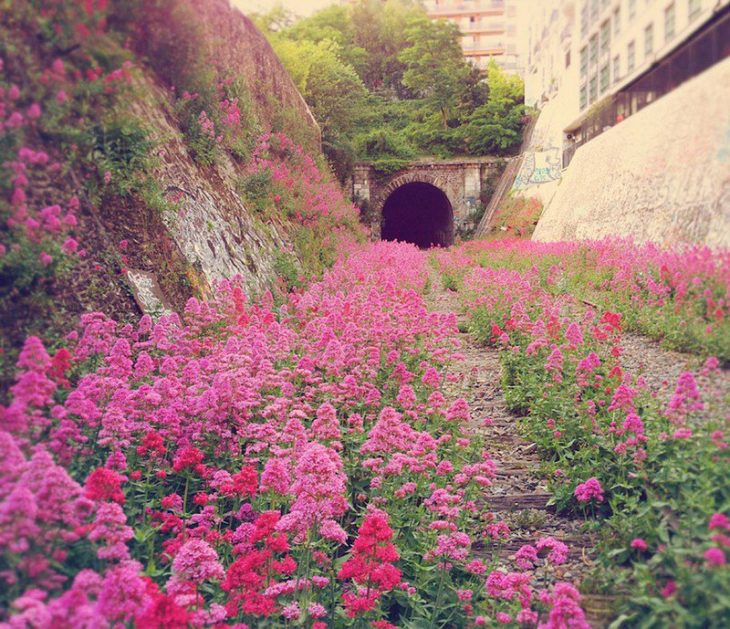 línea ferroviaria abandonada en el interior de Paris