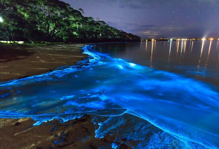mar de estrellas en vaadhoo, maldivas